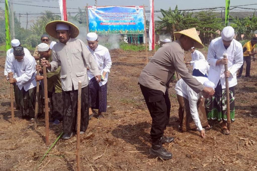 Forkopimka Krian dan Santri Pesantren Darul Falah Tanam Jagung untuk Ketahanan Pangan