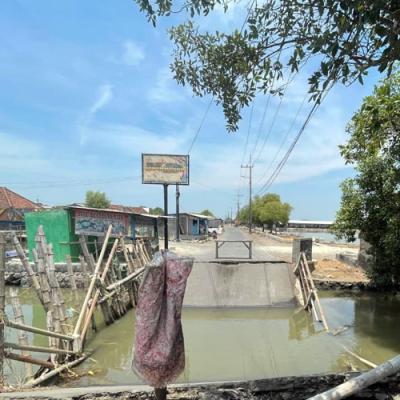 DPRD Sidoarjo Dorong Percepatan Perbaikan Jembatan Wisata Tambak Cemandi Sidoarjo