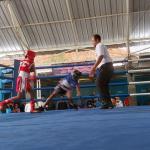 84 Petinju Ramaikan Sidoarjo Fun Fight Boxing, Pertina Siapkan Agenda Baru