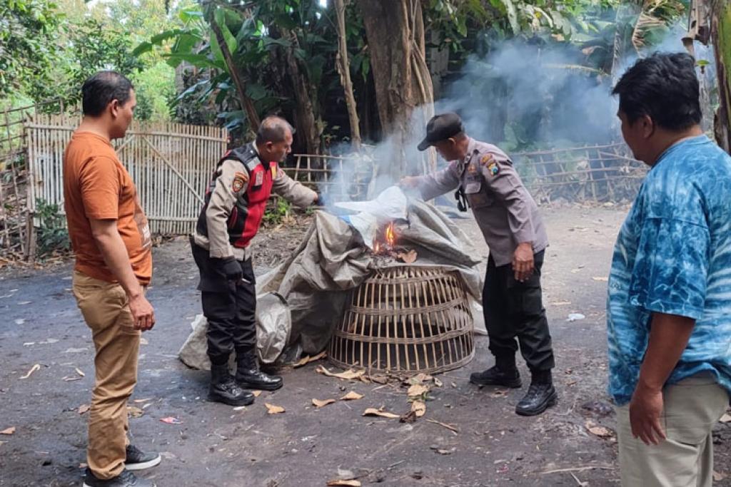 Tanggapi Aduan Warga, Polsek Balongbendo Bubarkan Arena Judi Sabung Ayam di Seketi