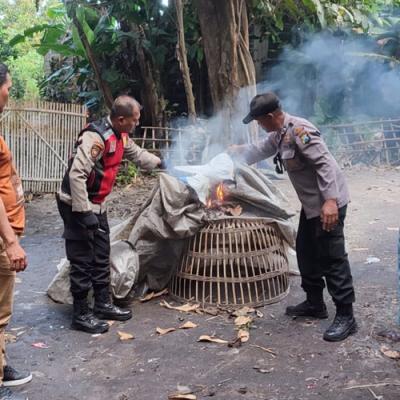 Tanggapi Aduan Warga, Polsek Balongbendo Bubarkan Arena Judi Sabung Ayam di Seketi