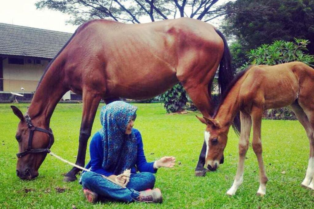 Pretalia Dwi Rachmawati, Dokter Hewan Spesialis Kuda yang Langka di Jawa Timur